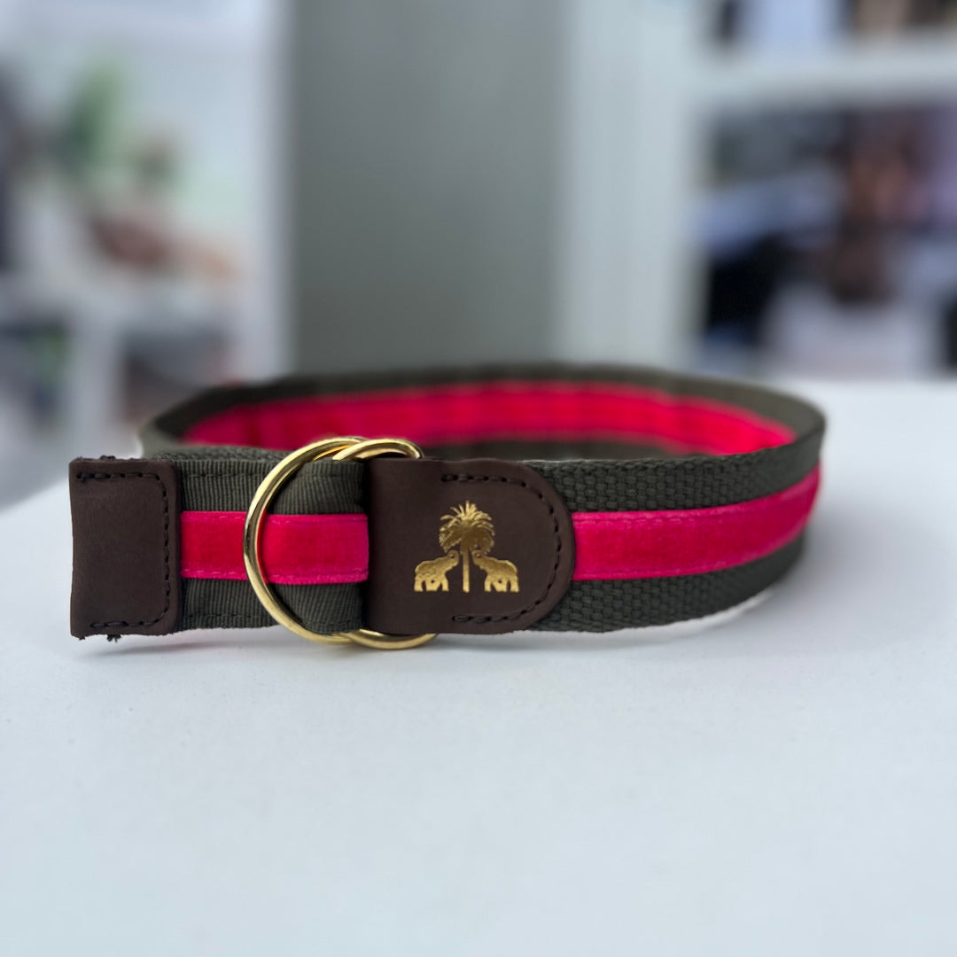Belt -Khaki & Pink-