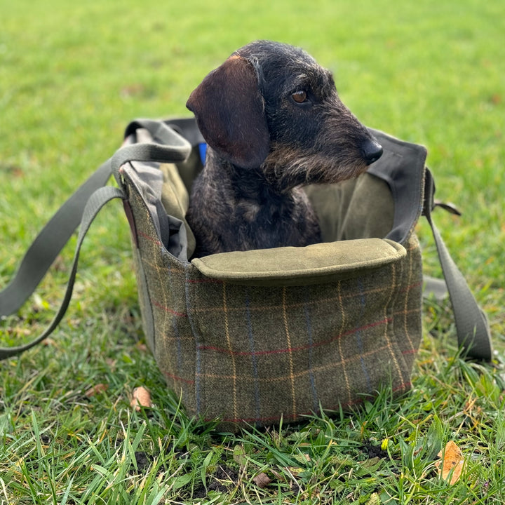Hundetasche TWEED