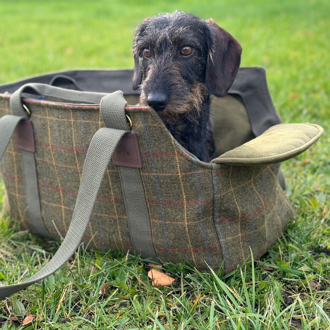 Hundetasche TWEED