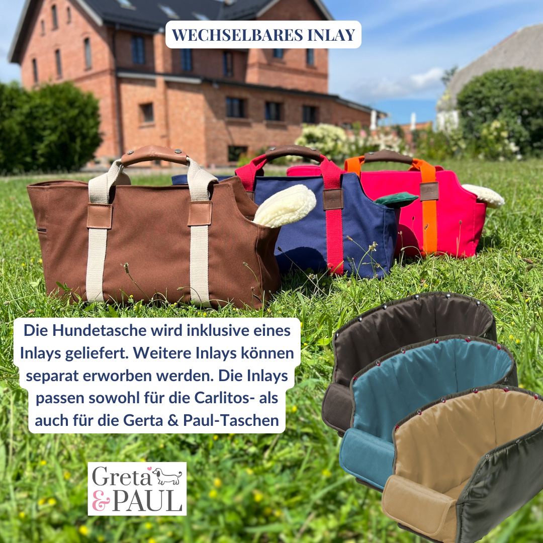 Hundetasche DESIGN YOUR OWN